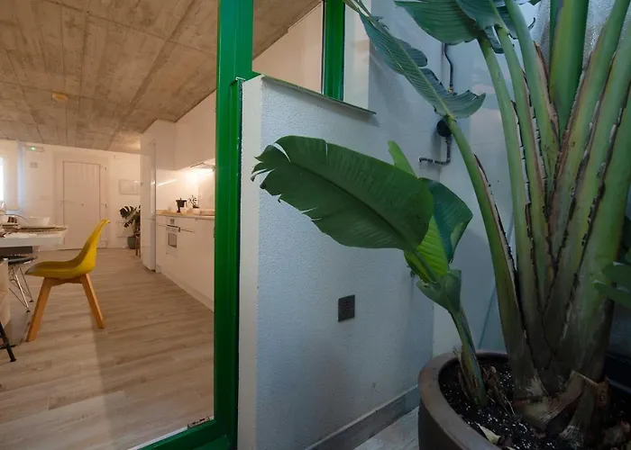 Apartment El Puerto Viejo *